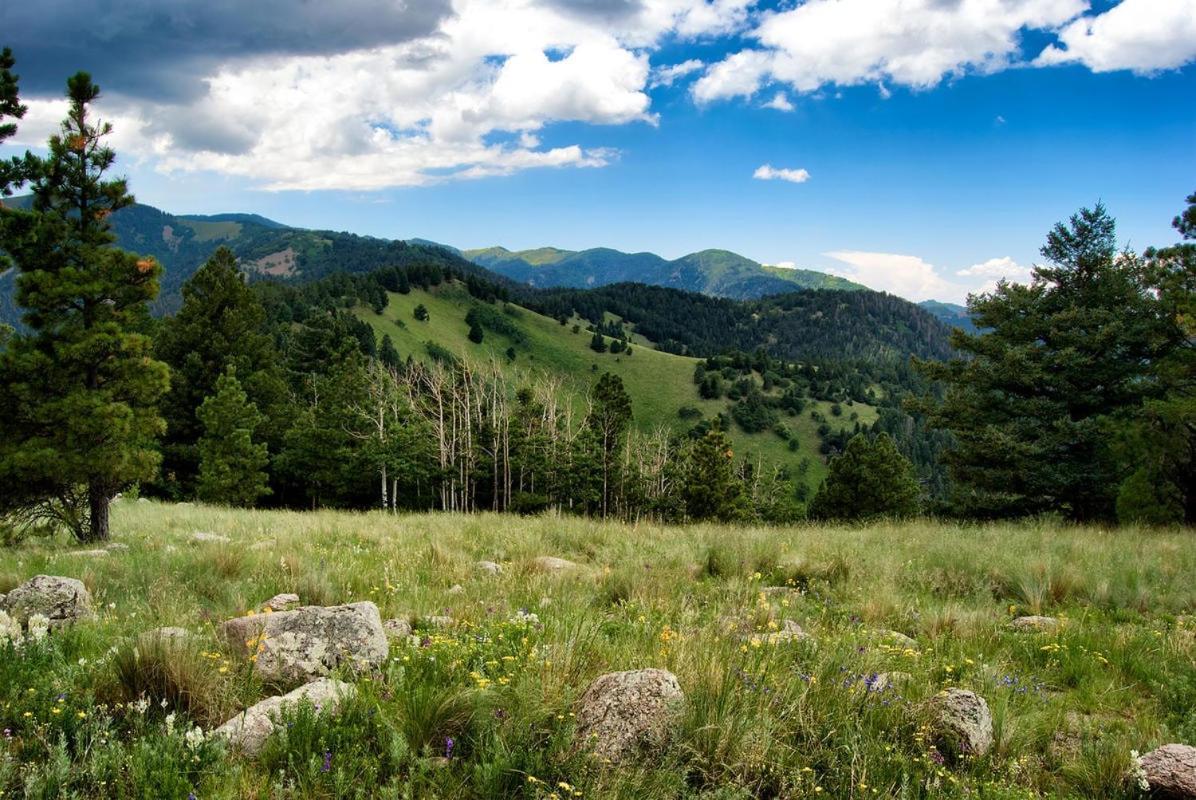 Alpine Cabin, 3 Bedrooms, Deck, Sleeps 8 Ruidoso Kültér fotó